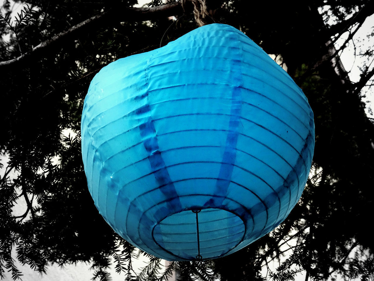 LOW ANGLE VIEW OF BALLOONS