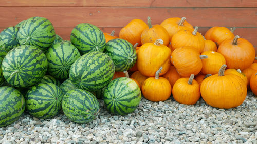 High angle view of pumpkins