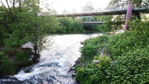 Scenic view of waterfall