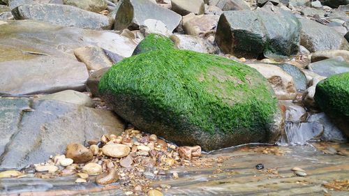 High angle view of bird on beach
