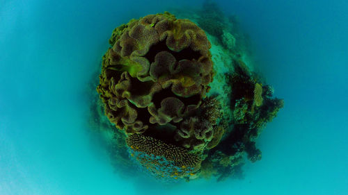 sea