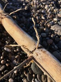 Close-up of wood