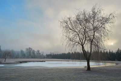 Bare trees on snow covered landscape against sky