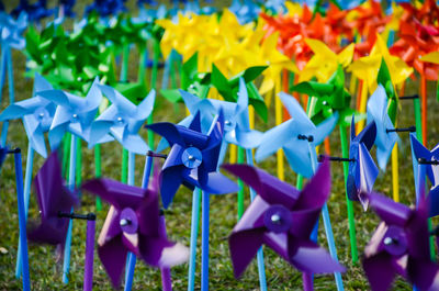 Close-up of multi colored grass