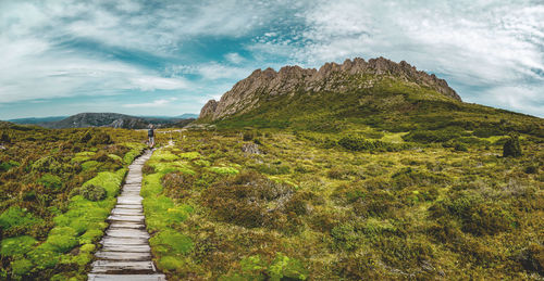 Boardwalk amidst moss covered landscape against cloudy sky