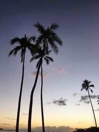 Low angle view of palm tree against sky