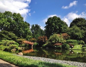 Scenic view of trees against sky