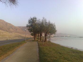 Road by palm trees against sky