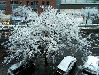 Close-up of snow on built structure