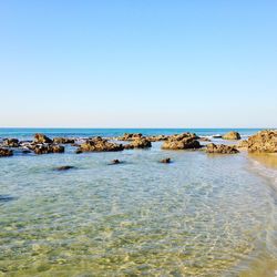 Scenic view of sea against clear sky