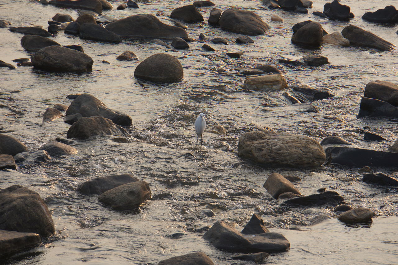 HIGH ANGLE VIEW OF ROCKS ON SHORE