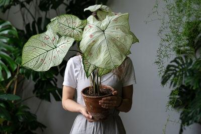 Woman holding potted plant