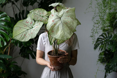 Midsection of woman holding plant