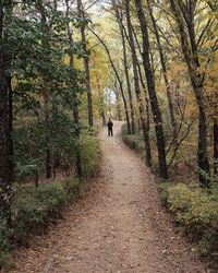 Rear view of man walking on footpath in forest