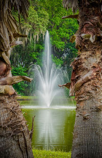 Fountain against the trees