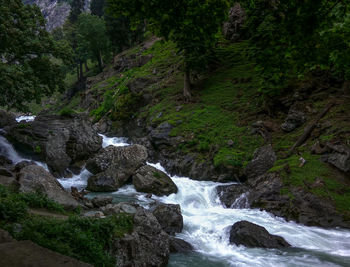 Scenic view of waterfall in forest