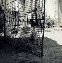 Chainlink fence