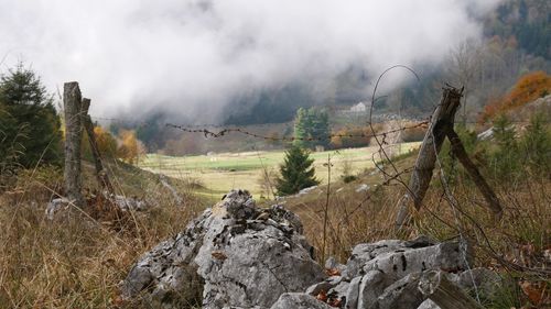 Scenic view of landscape against sky