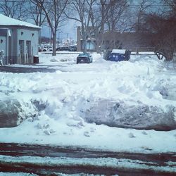 Snow covered trees in winter