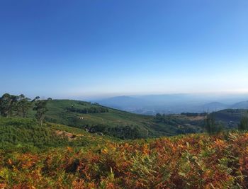 Scenic view of landscape against clear blue sky