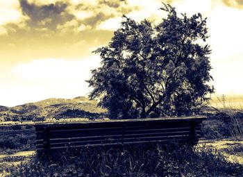 Scenic view of landscape against cloudy sky