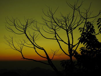 Low angle view of silhouette bare tree against sky during sunset