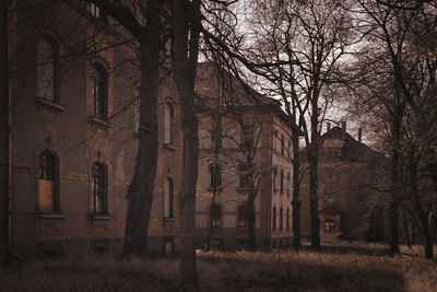 Bare trees by historic building