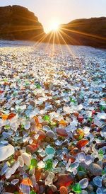 Leaves in sea against sky during sunset