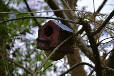 Low angle view of birdhouse hanging on tree