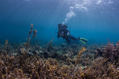 Scuba diver swimming underwater