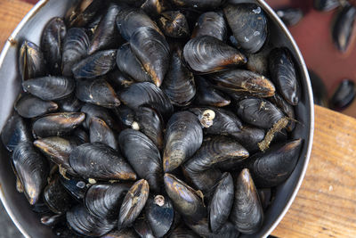 High angle view of shells in container