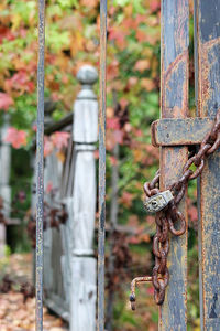 Close-up of padlock on metal gate