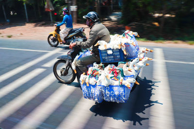 People riding bicycle on road