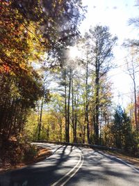 Road amidst trees against sky