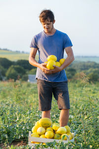 Farmer holding fruits while standing on land