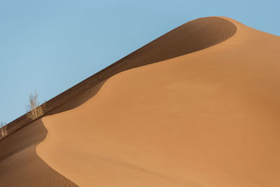 Scenic view of desert against clear sky