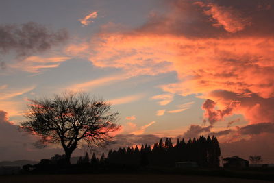 Silhouette trees on landscape against scenic sky