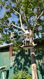 Low angle view of bird on tree against sky