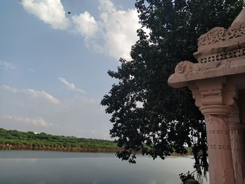 Low angle view of trees against cloudy sky