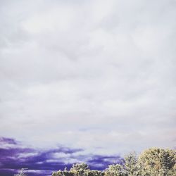 Low angle view of trees against cloudy sky