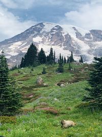 Scenic view of landscape against sky