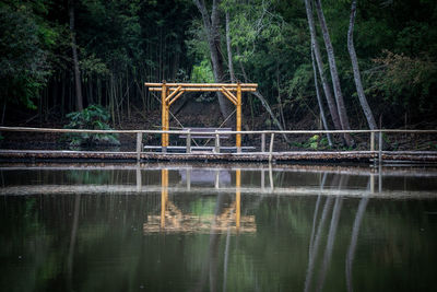 Reflection of trees in lake