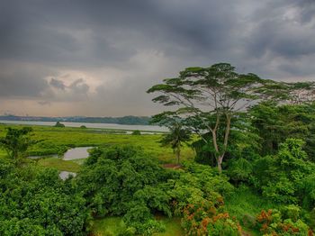 Scenic view of landscape against sky