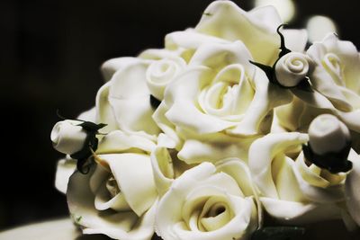 Close-up of white roses