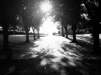 Road passing through forest