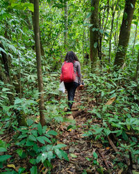 Rear view of woman walking in forest