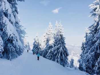 Trees on snow covered landscape against sky