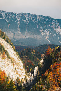 Scenic view of tree mountains against sky during autumn