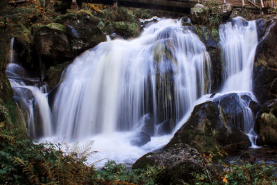 Scenic view of waterfall in forest