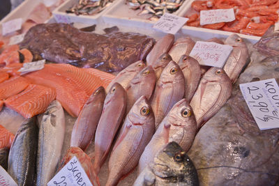 Close-up of seafood for sale